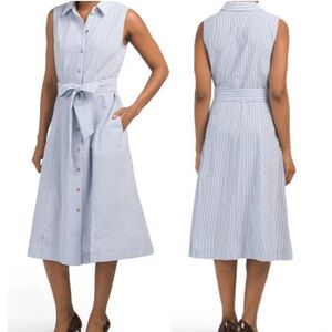 Mlle Gabrielle Pinstripe Sleeveless Dress